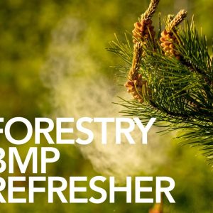 Forestry BMP Refresher