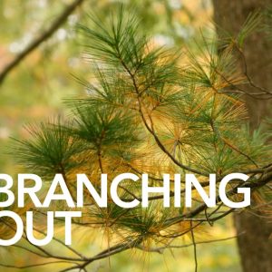 Branching Out Virtual Conference