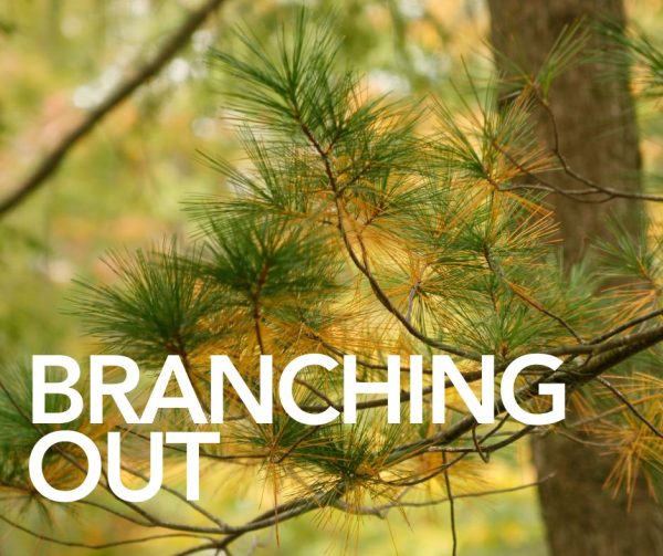 Branching Out Virtual Conference